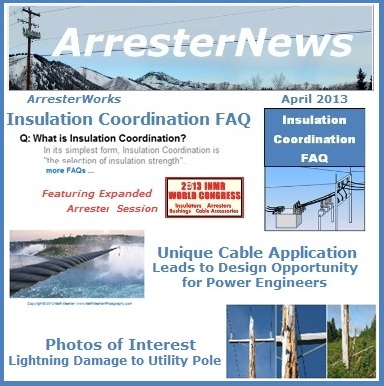 April 2013 ArresterNews Cover Thumb