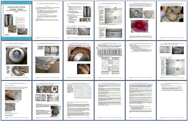 Example Report